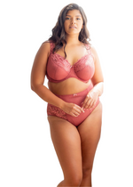 Serena Lace Multi-Part Underwire Bra Canyon Rose